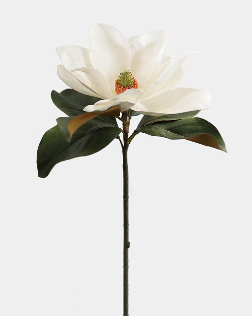 White Faux Magnolia Lifelike Bloom for Year-Round Home Decor